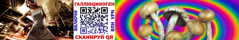 Псилоцибиновые грибы GOLDEN TEACHER  Лесосибирск 