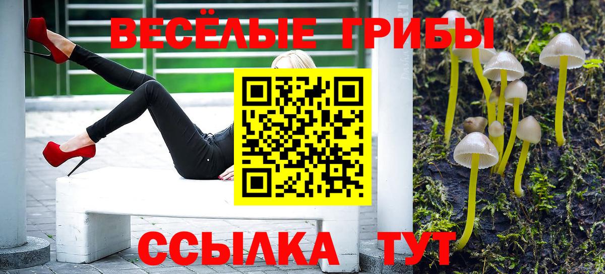 Лесосибирск  Псилоцибиновые грибы Psilocybe  как найти закладки  Галлюциногенные грибы мухоморы  Вход с VPN 